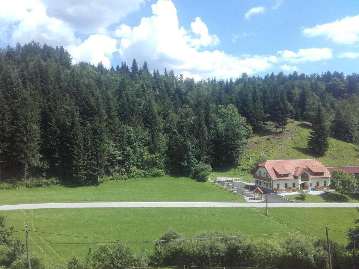 Simnovi Apartmaji - Surrounded By Nature Kamnik Luaran gambar
